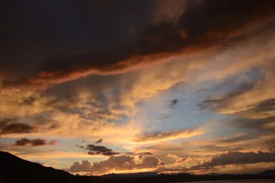 DSC_3318 (Large).JPG